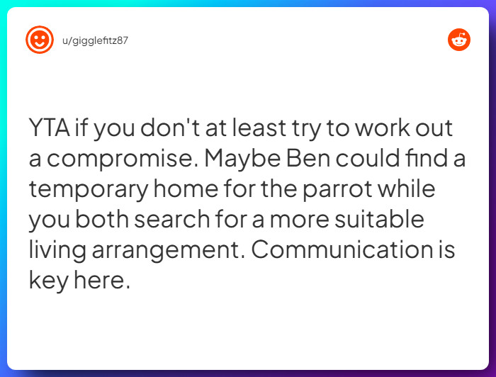 Comment from u/gigglefitz87