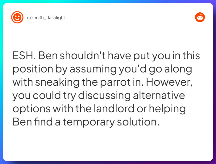 Comment from u/zenith_flashlight