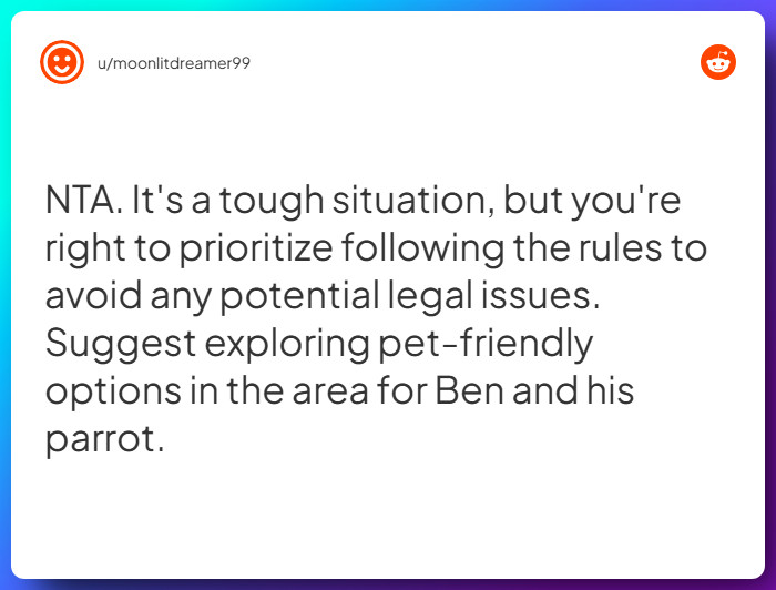 Comment from u/moonlitdreamer99