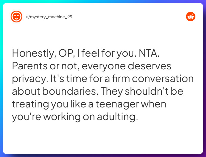 Comment from u/mystery_machine_99