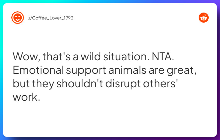 Comment from u/Coffee_Lover_1993