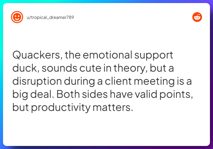 Comment from u/tropical_dreamer789