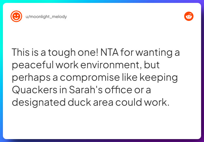 Comment from u/moonlight_melody