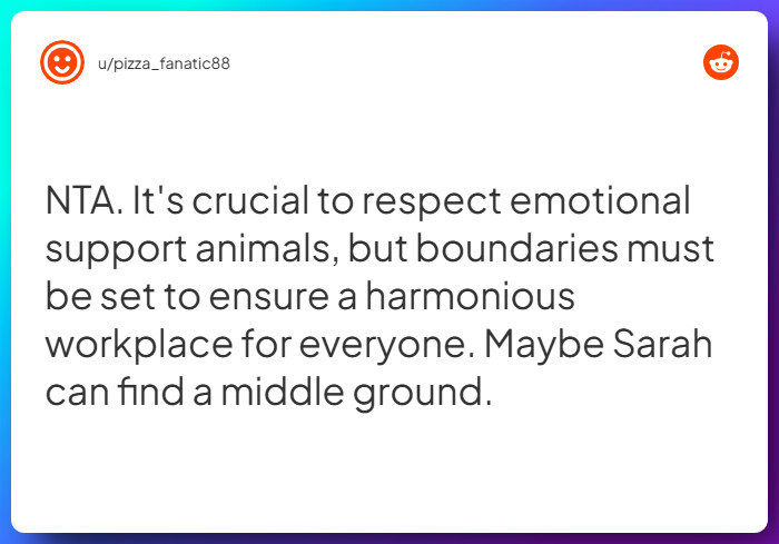 Comment from u/pizza_fanatic88