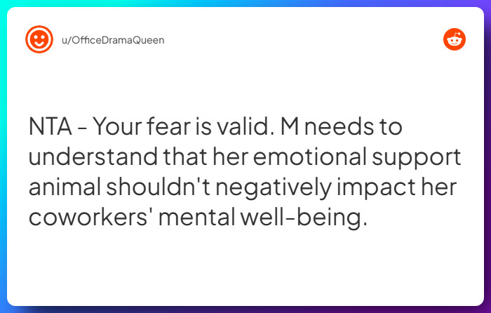 Comment from u/OfficeDramaQueen