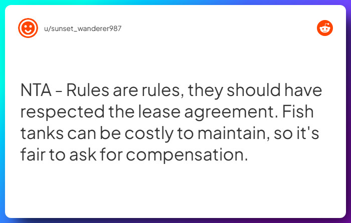 Comment from u/sunset_wanderer987