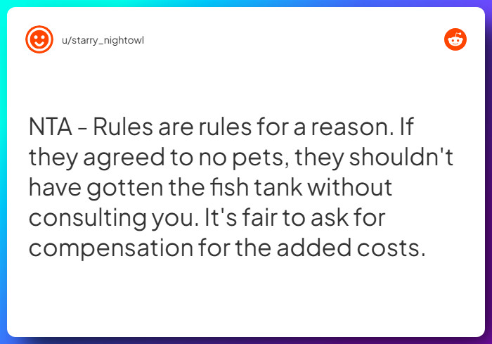 Comment from u/starry_nightowl