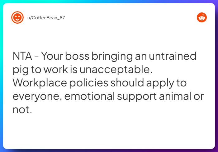 Comment from u/CoffeeBean_87