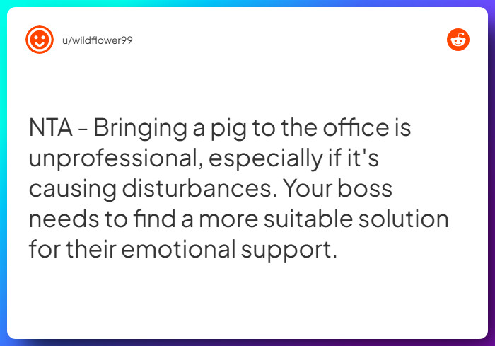 Comment from u/wildflower99