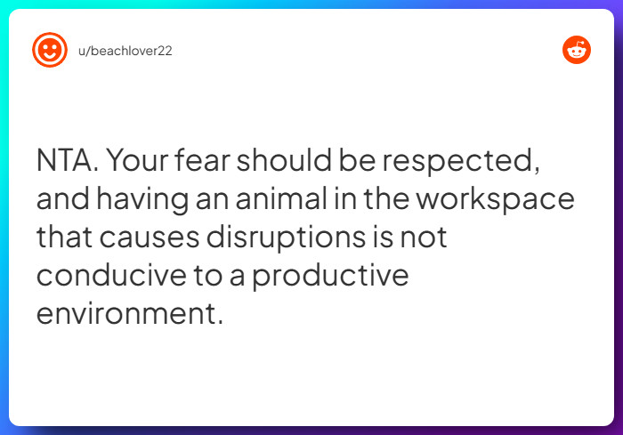 Comment from u/beachlover22