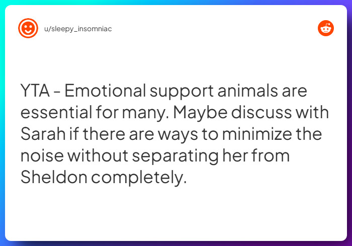 Comment from u/sleepy_insomniac