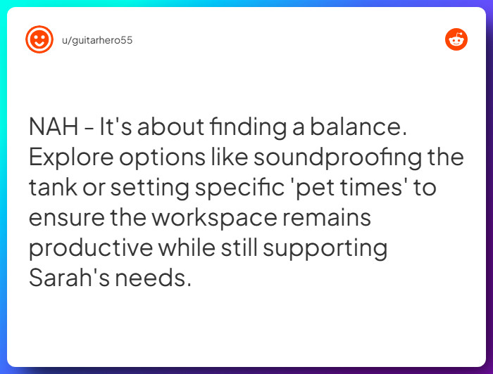 Comment from u/guitarhero55