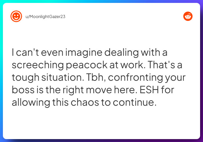 Comment from u/MoonlightGazer23