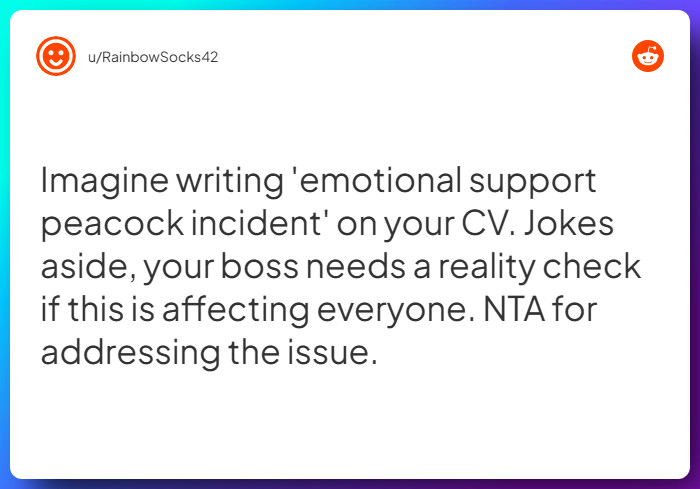 Comment from u/RainbowSocks42