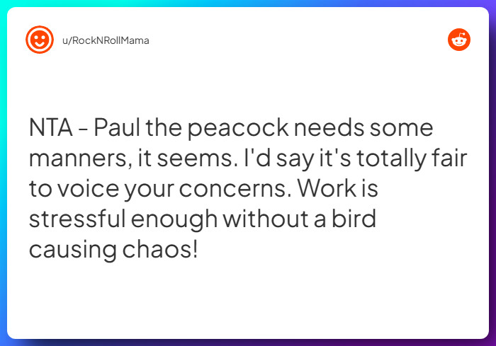 Comment from u/RockNRollMama