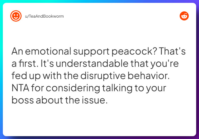 Comment from u/TeaAndBookworm