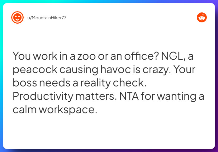 Comment from u/MountainHiker77