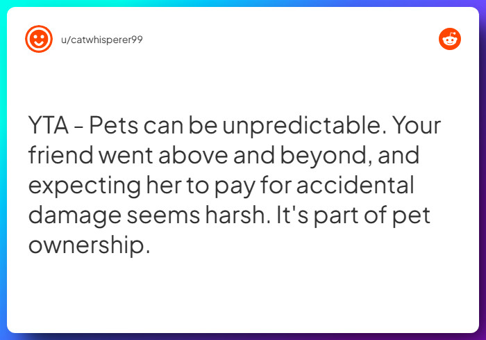 Comment from u/catwhisperer99