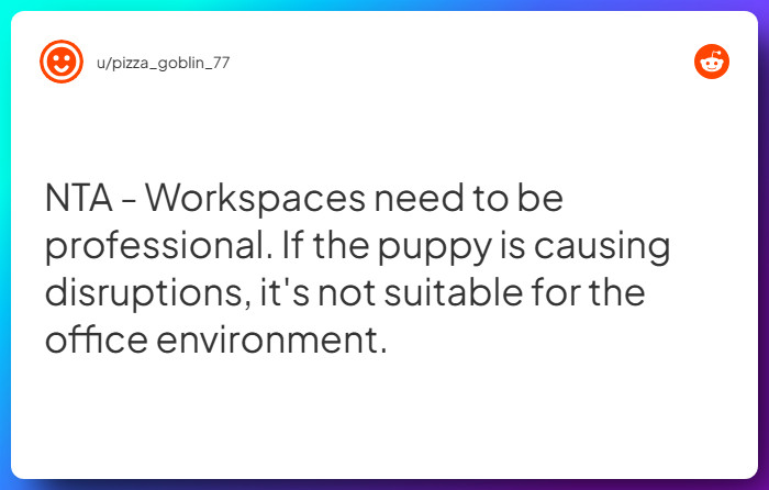 Comment from u/pizza_goblin_77