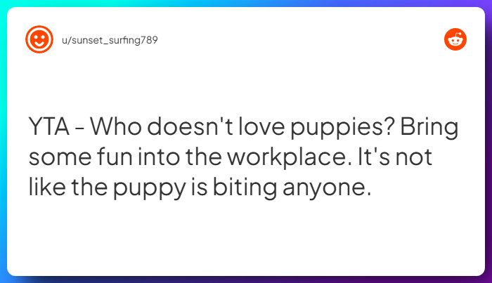 Comment from u/sunset_surfing789