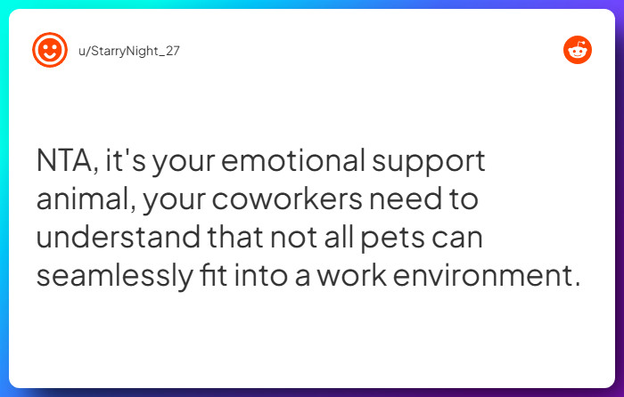 Comment from u/StarryNight_27