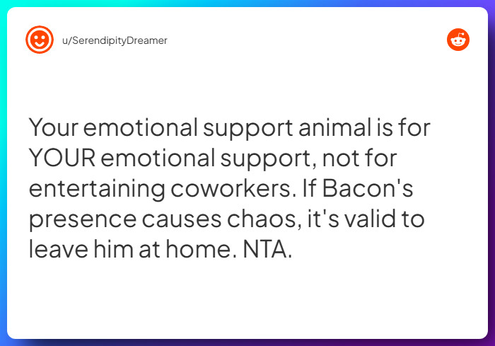 Comment from u/SerendipityDreamer