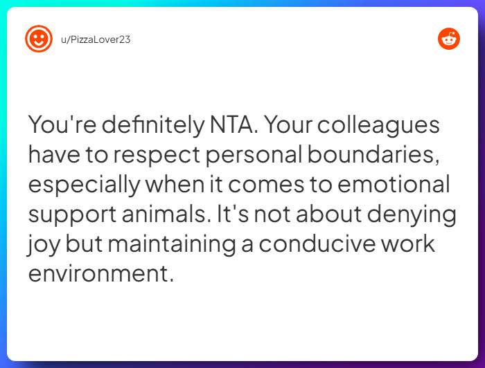 Comment from u/PizzaLover23