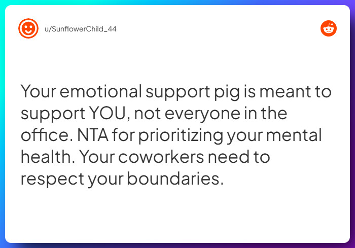 Comment from u/SunflowerChild_44