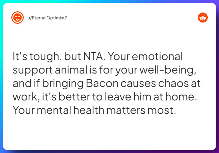 Comment from u/EternalOptimist7