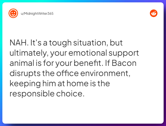 Comment from u/MidnightWriter365