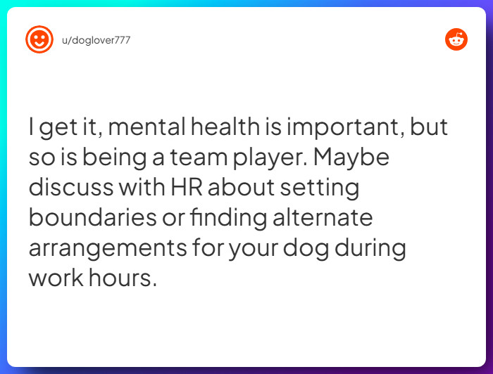 Comment from u/doglover777