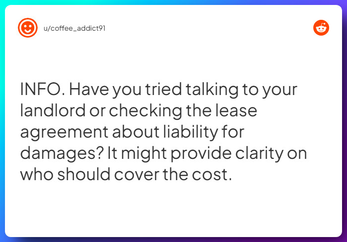 Comment from u/coffee_addict91