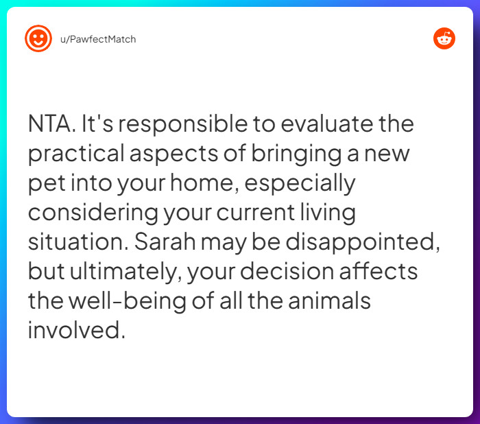 Comment from u/PawfectMatch