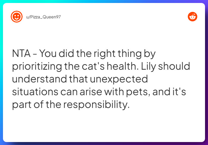 Comment from u/Pizza_Queen97