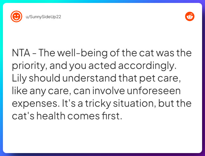 Comment from u/SunnySideUp22