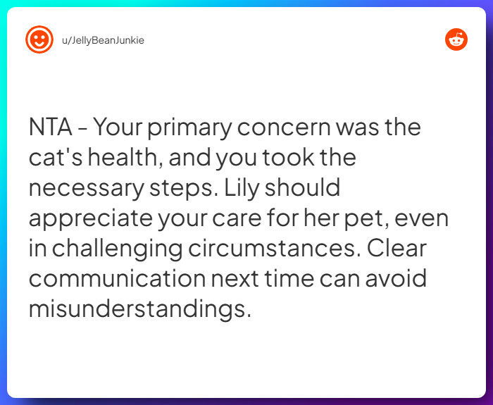 Comment from u/JellyBeanJunkie