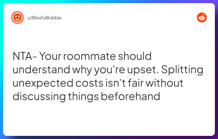 Comment from u/BlissfulBubble