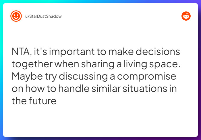 Comment from u/StarDustShadow