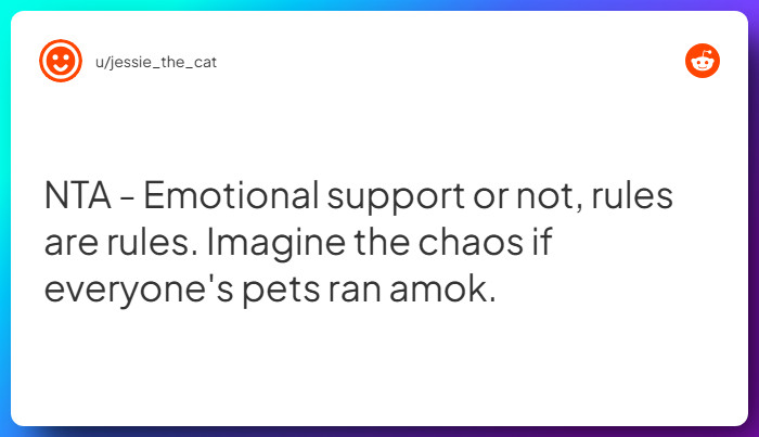 Comment from u/jessie_the_cat