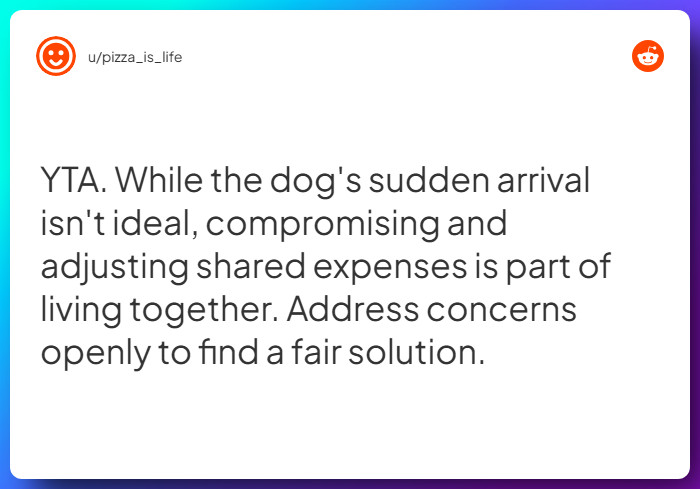 Comment from u/pizza_is_life