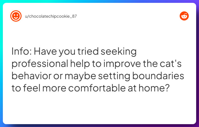 Comment from u/chocolatechipcookie_87