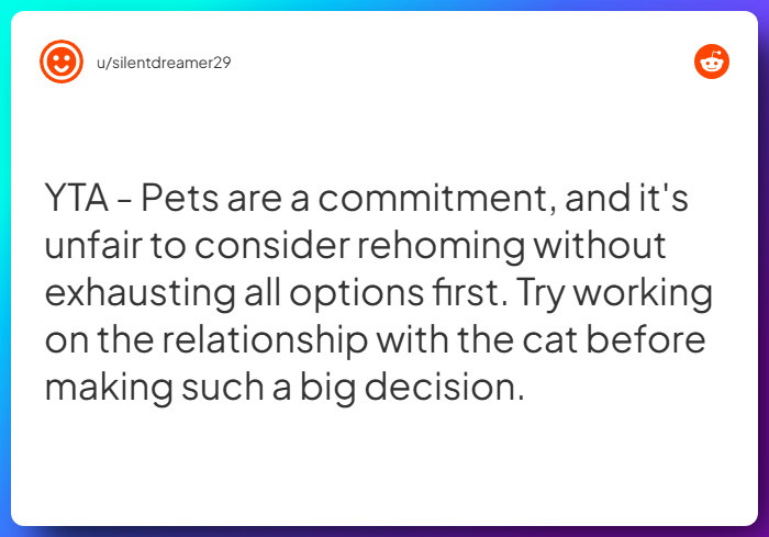 Comment from u/silentdreamer29