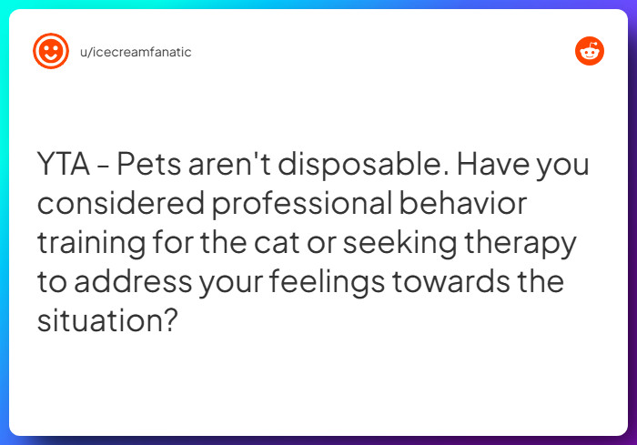 Comment from u/icecreamfanatic