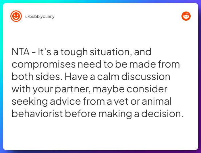 Comment from u/bubblybunny