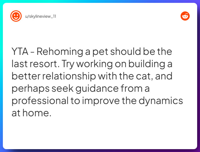 Comment from u/skylineview_11