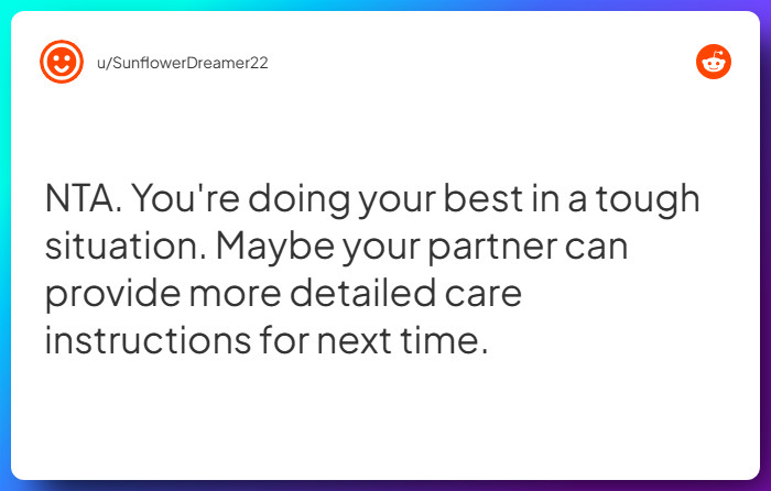 Comment from u/SunflowerDreamer22