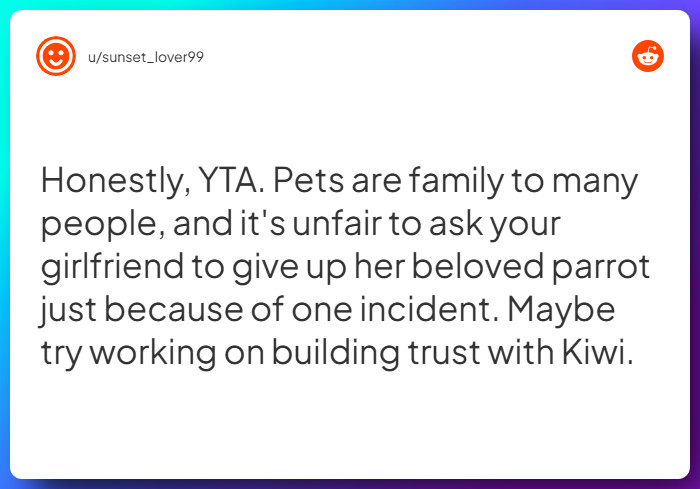 Comment from u/sunset_lover99