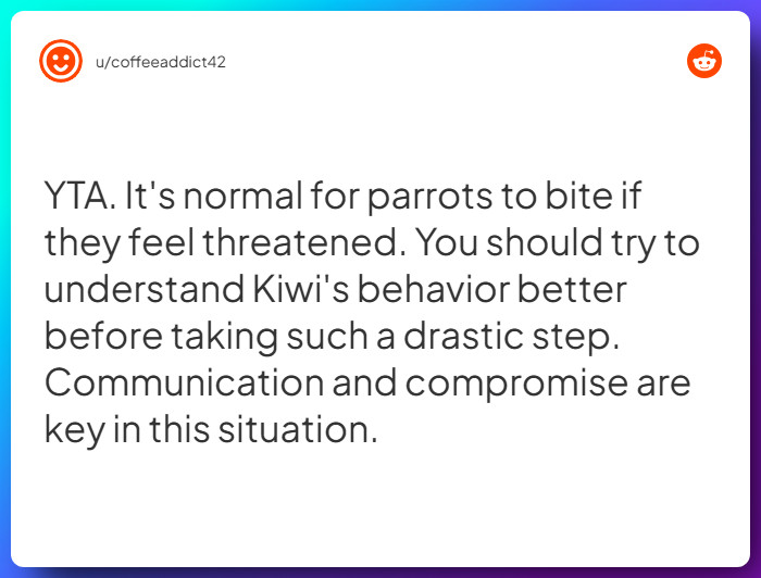 Comment from u/coffeeaddict42