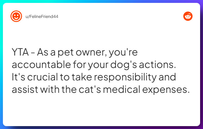 Comment from u/FelineFriend44