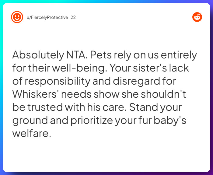 Comment from u/FiercelyProtective_22